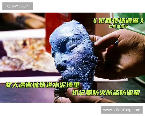 《犯罪现场调查第二季》：迷雾重重，真相在黑暗中闪光