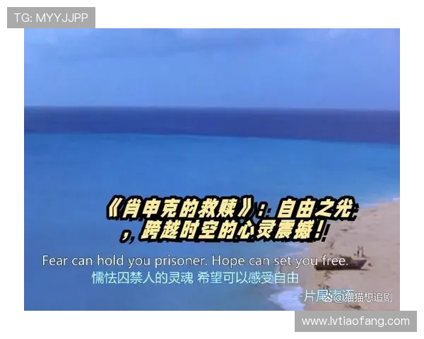 光影织梦，都市脉搏：一部“大都市电影”的灵魂探寻