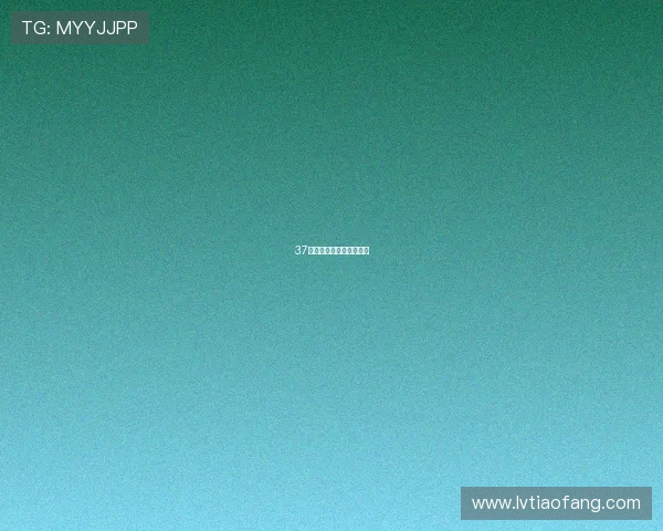 37人:一个数字,一段传奇 37人:一个数字,一段传奇