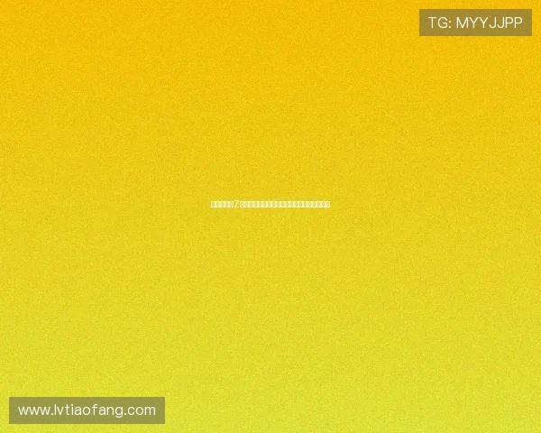 《海贼王：Z的野望——时代的终结，还是新生的曙光？》